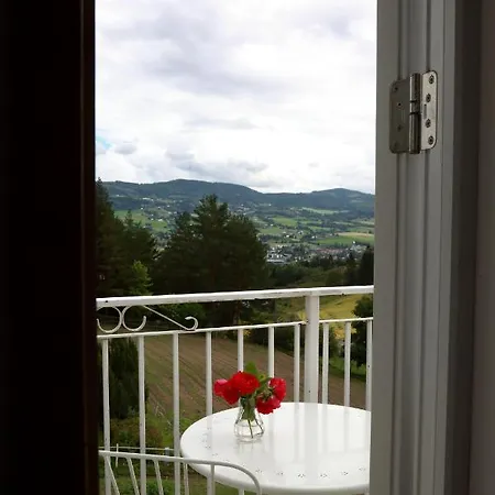 Hotel Sanner 4*